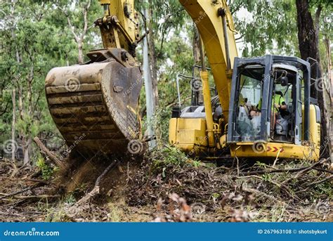 mini excavator clearing trees|removing trees with excavator.